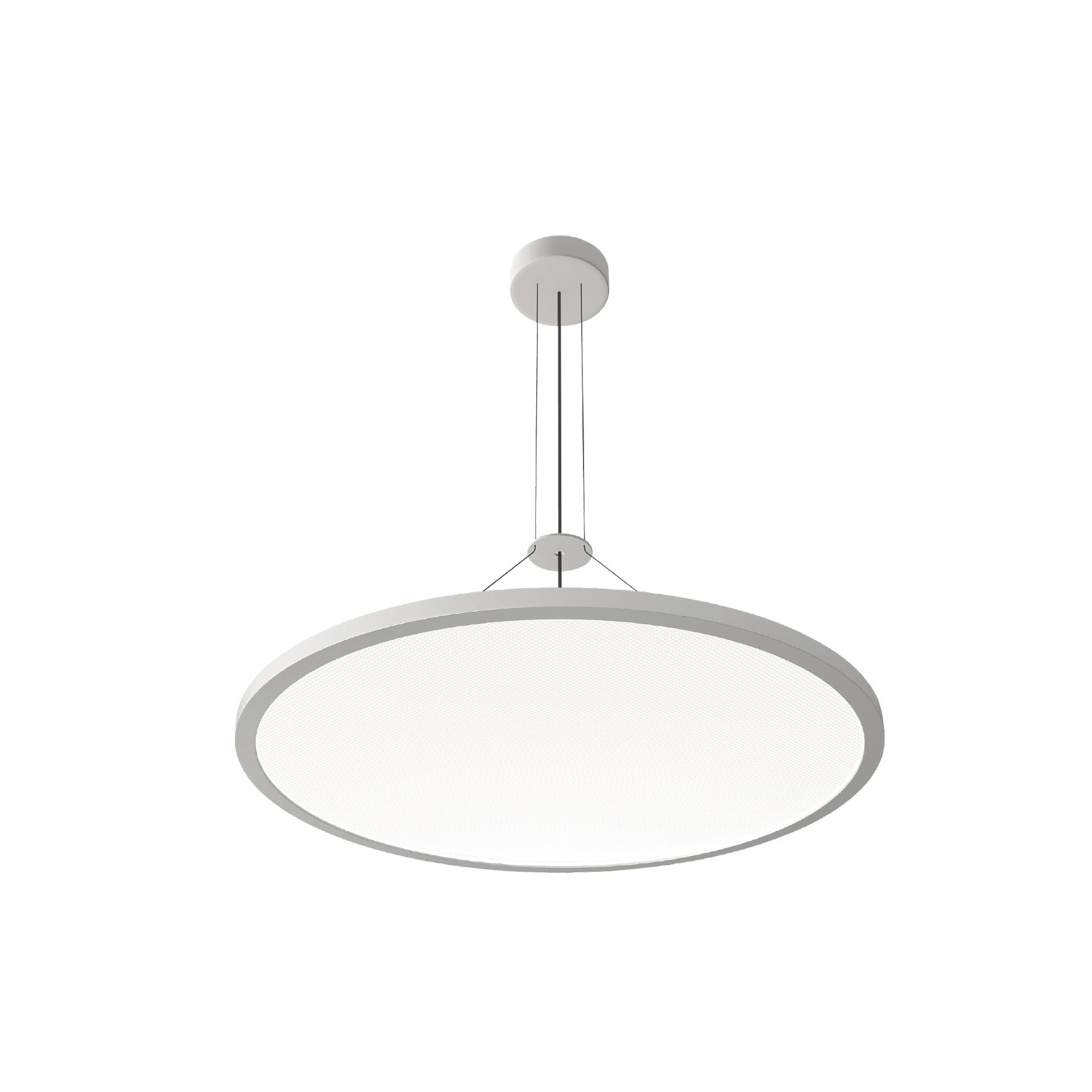 Aureola Slim Pendelleuchte