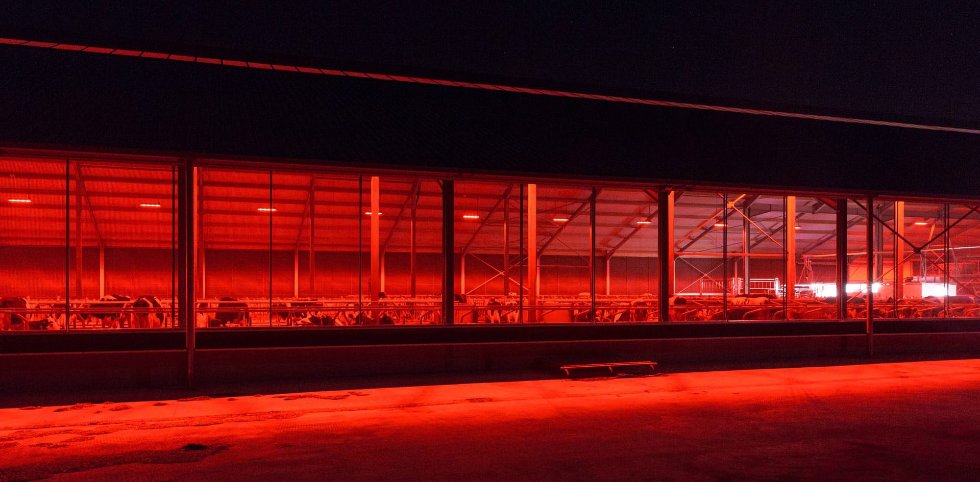 LAB III (Tierhaltung) Feuchtraumleuchte